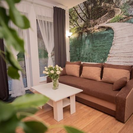Apartamenty Goszowita Stronie Śląskie Exteriér fotografie