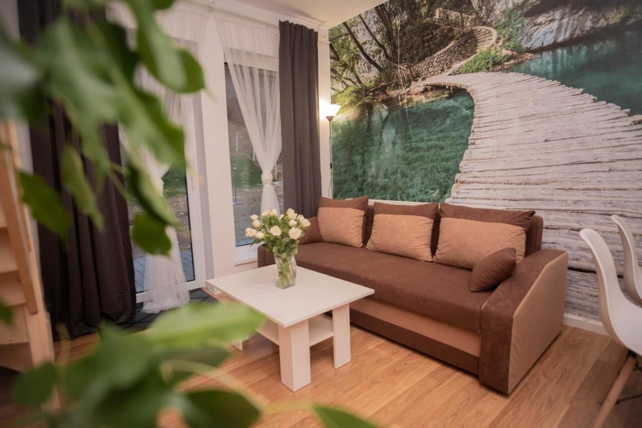 Apartamenty Goszowita Stronie Śląskie Exteriér fotografie